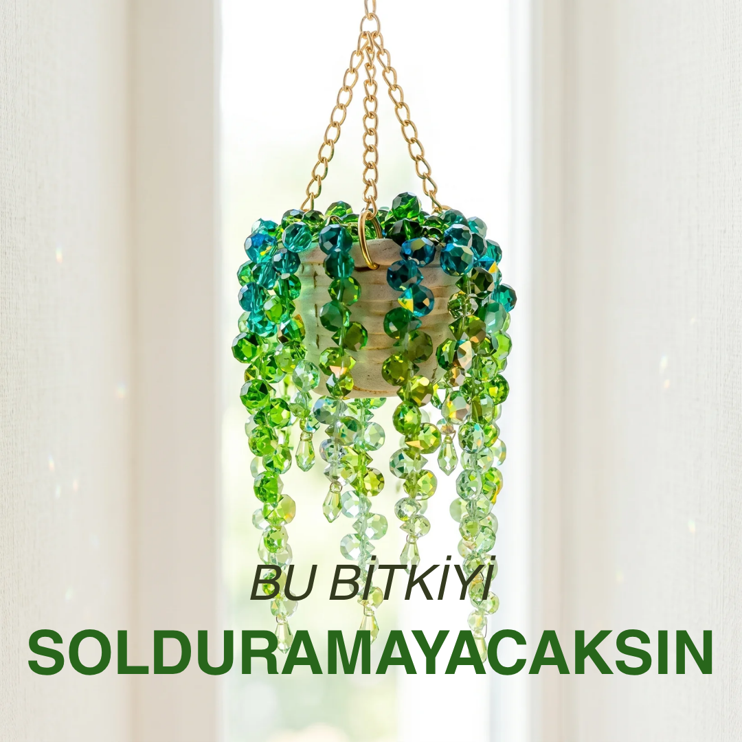 Soluna Güneş Kapanı Yapım Kiti